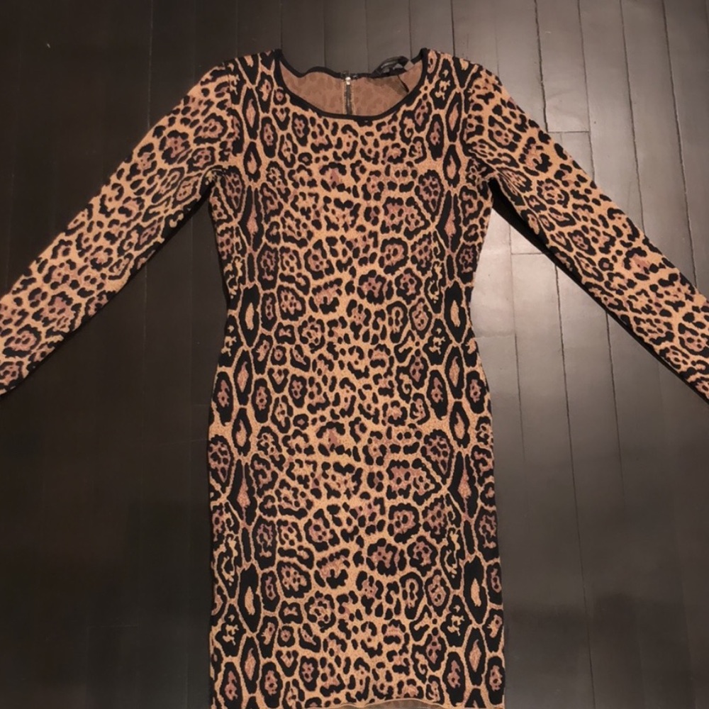 BCBG Maxazria Long Sleeve Leopard Print Dress Size Small New Without Tags🐆🐆🐆